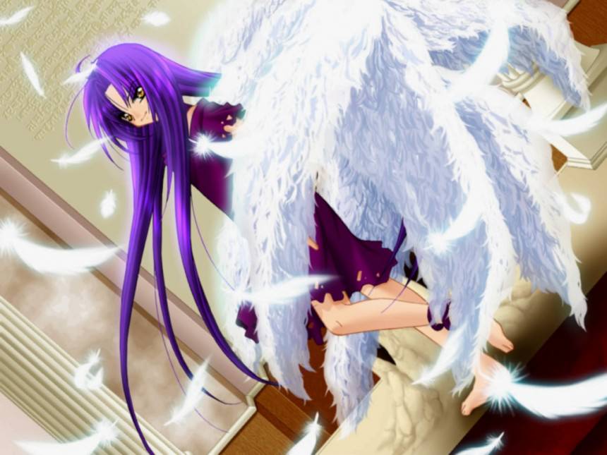  ,       ,    